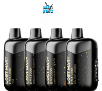 Lost Mary BM15000 disposable vape