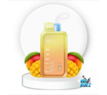 ELFBAR Raya D1 13000 Puffs 50mg Nicotine - Image 9