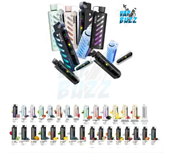 VOZOL GEAR Shisha Disposable Vape