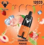 Kalyan Pro 12000 Puffs 50mg Disposable Vape - Image 6