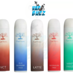 RIPE VAPES Palm Disposable 3000 Puffs 20MG Rechargeable Vape in Dubai, UAE