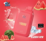 ISGO Bar Disposable 10000 Puffs 2% Rechargeable Vape in Dubai, UAE - Image 6