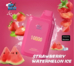 ISGO Bar Disposable 10000 Puffs 2% Rechargeable Vape in Dubai, UAE - Image 7