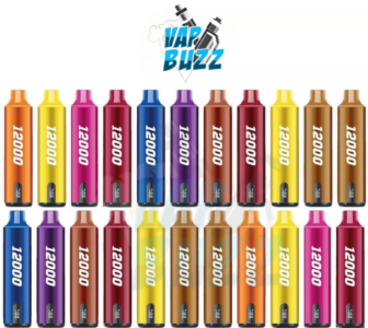 SMOOTH Whale Disposable 2% & 5% 12000 Puffs Rechargeable Vape in Dubai, UAE