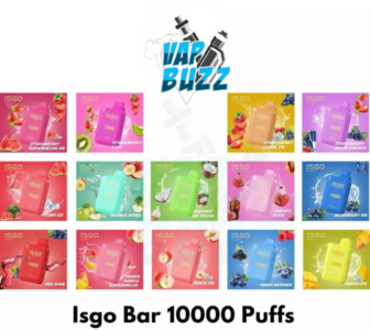 ISGO BAR 10000 Puffs 5% nicotine Disposable Vape shop In Dubai