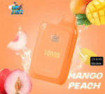 ISGO Paris 2% nicotine Disposable 14000 Puffs Rechargeable Vape in Dubai, UAE - Image 7