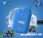 ISGO Paris 2% nicotine Disposable 14000 Puffs Rechargeable Vape in Dubai, UAE - Image 8