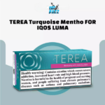 IQOS TEREA Turquoise