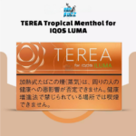 IQOS TEREA Tropical Menthol